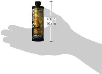 Brightwell Aquatics Erase-Cl - Chloramine, Chlorine and Ammonia Remover - Aquarium Water Conditioner for Salt and Freshwater Fish Tanks - Aquarium Water Treatments, 16.9 fl oz