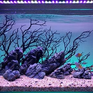 CURRENT USA Black Manzanita Branch 22-inch Tall with Weighted Base | Tree Branches Molded Aquarium Decor Decoration Fake Artificial Fish Tank Ornament for Freshwater or Saltwater (7817)