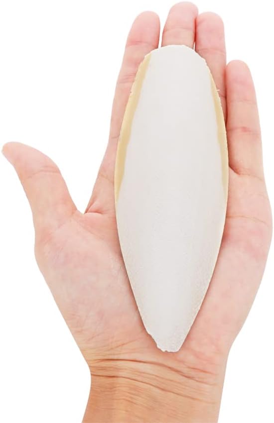 2 Pcs Cuttlebone Holder for Bird Cage - Bowl Stand Food Holder with 4 Pcs Cuttlebone for Parrot, Budgie, Conure (4.7-5.5 inch)
