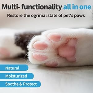 Mooncat Cat Paw Balm โ Cat-Specific Paw & Nose Moisturizer for Dry Cracked Pads, Fast Absorbing Lick Safe Natural Botanical Care, Non Greasy Fragrance Free Protection & Repair - 2oz (60ml)