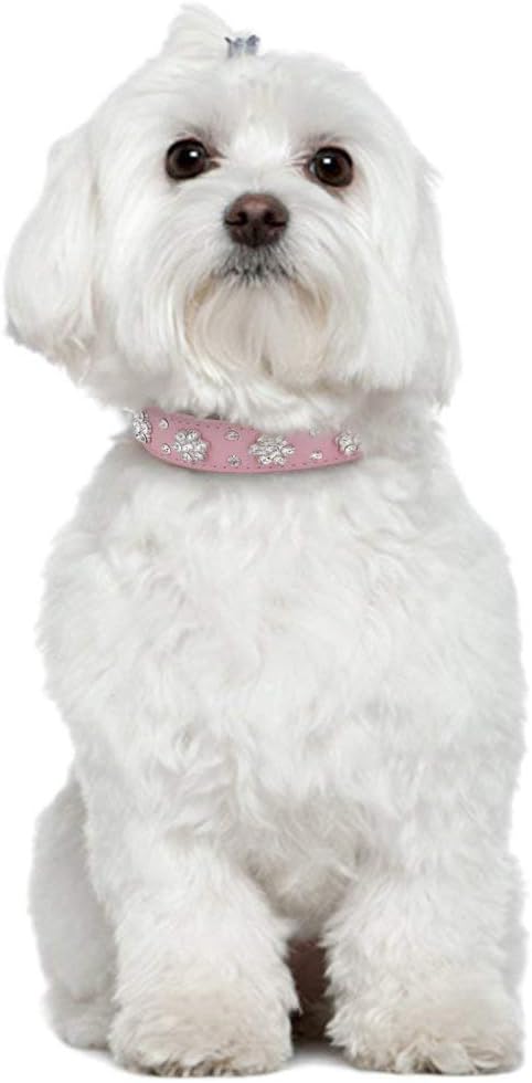 Rhinestone Dog Collar, Cute Flower Rhinestone Bling Collar PU Leather Adjustable Sizes Small Medium Large (M, Pink)