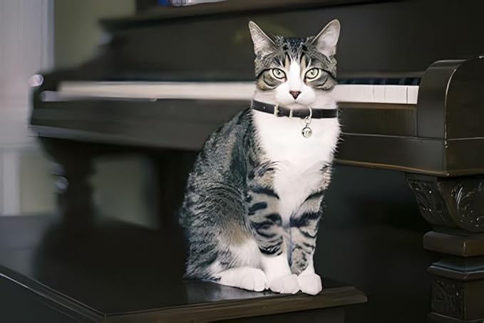 Red Kitten Collar with Bell, Soft Pu Leather Small Dog Collars Adjustable Buckle for XXS XS Extra Small Medium Tiny Female Male Boys Girls Pets Puppy Cats Teacup Yorkie XX-Small