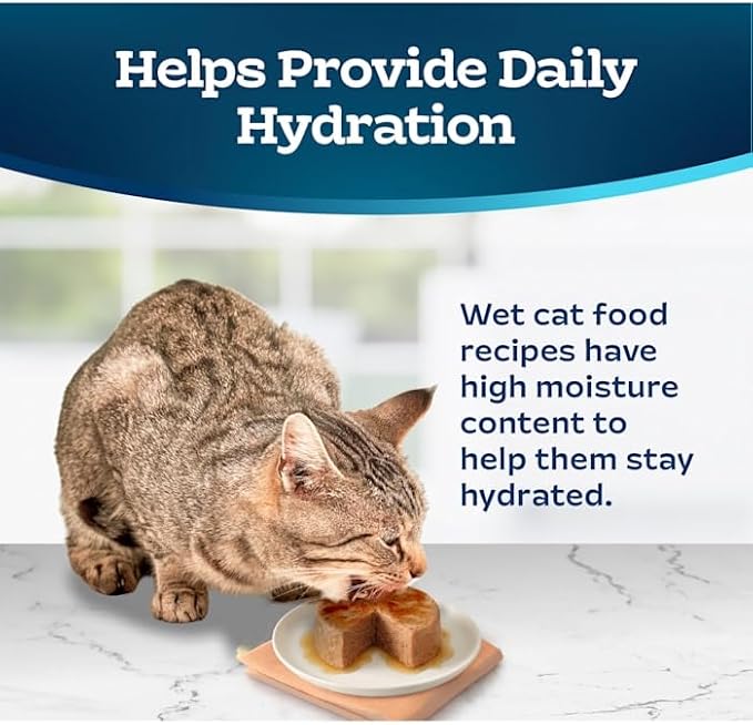 Blue Buffalo Tastefuls Turkey & Chicken Entrée Pate Cat Canned Food, Wheat Free, 5.5 Ounces (Pack of 1)