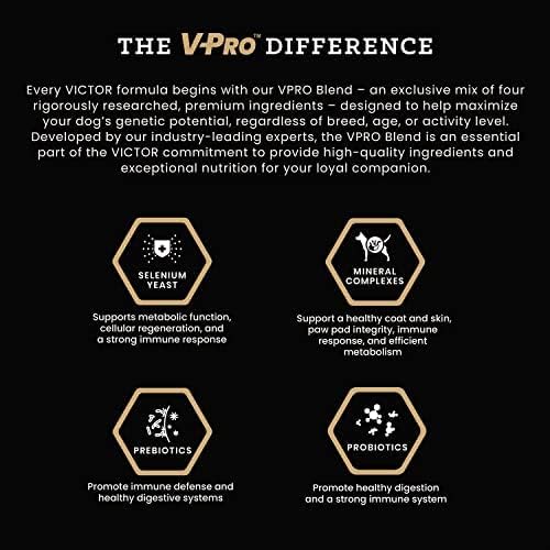 VICTOR Super Premium Dog Food – Chicken Meal & Brown Rice for All Normally Active Dogs of All Life Stages – Gluten-Free, Digestive & Immune Support, Ideal for Dogs with Meat Protein Allergies, 5 lb