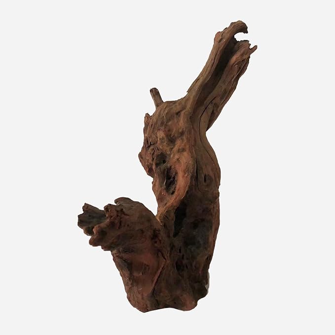 Natural Driftwood for Aquarium Decor, L17.72×W6.3×H19.69 Inches Large Drift Wood Decorations for Reptile Hide, Fish Tank, Optional Shapes