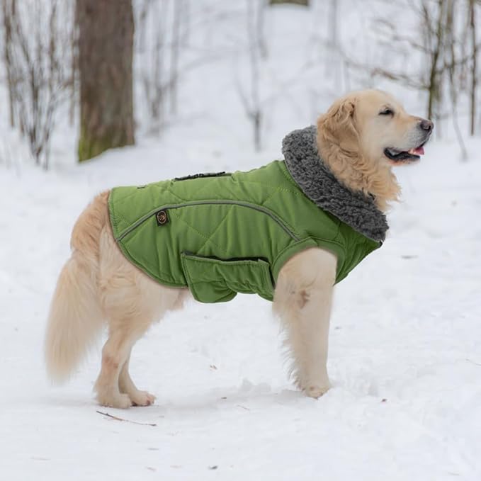 EMUST Winter Coat for Large Dogs, Windproof Dog Jacket for Cold Weather, Extra Warm Pet Winter Clothes for Small Medium Large Dogs, Green, XXL