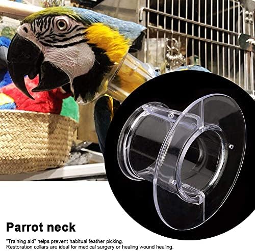 Parrot Neck Collar Breathable Bird Recovery Cones Parrot Neck Collar Elizabethan Bird Protector for Birds(L)