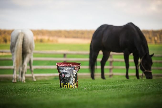 Horse Guard Trifecta 10 lb, 4 Equine Vitamin Minerals in 1 Complete Supplement