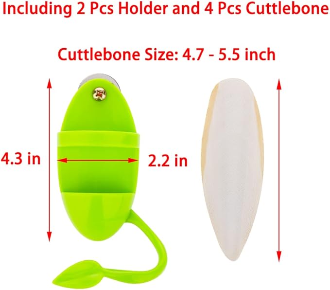2 Pcs Cuttlebone Holder for Bird Cage - Bowl Stand Food Holder with 4 Pcs Cuttlebone for Parrot, Budgie, Conure (4.7-5.5 inch)