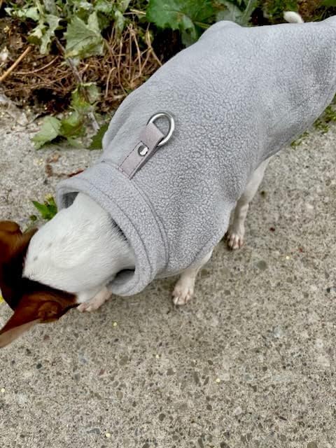 JACKO & CO - Fleece Vest Sweater with Leash Ring - Soft Lightweight Breathable for Puppies Small Medium Dogs, Kitten, Cats, Chihuahua - Warm for Fall/Autumn/Winter (Grey, X-Small 2-4lbs)