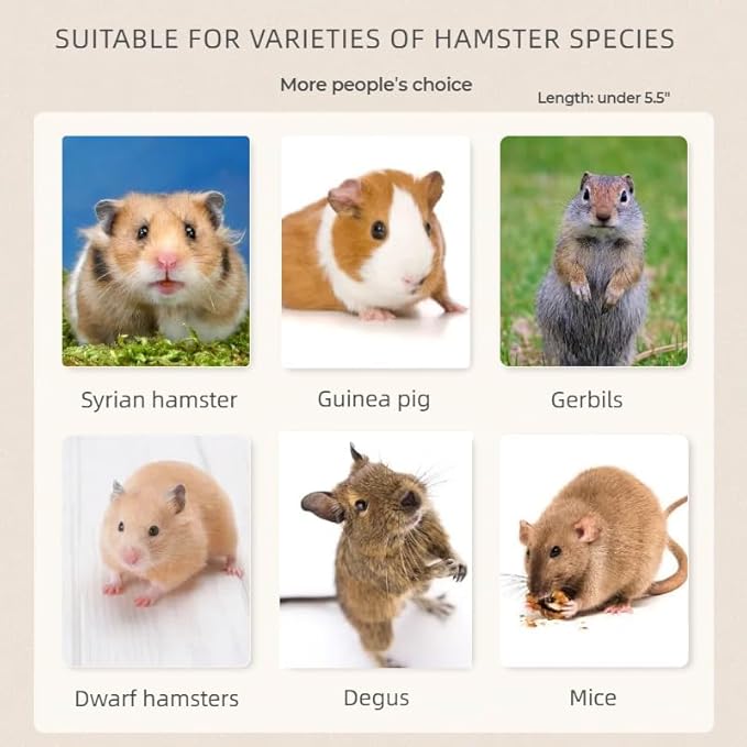 Wooden Hamster Cages and Habitats, Small Animal Habitat with 2 Openable Door for Guinea Pig, Gerbil, Chinchilla, Dwarf, Hedgehog, Squirrel, Chew Resistant, Dwarf Syrian Hamsters