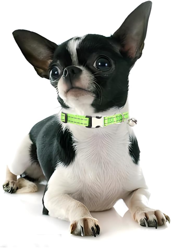 Green Puppy Collar with Bell, Reflective Nylon XS Cat Collars Soft Adjustable Buckle for XXS XSmall Small Puppy Female Tiny Pets Dogs Boy Girl Kitten Yorkie X-Small