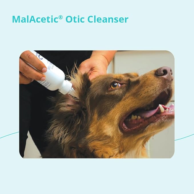 Dechra Malacetic Otic Cleanser for Dogs and Cats, 4 fl oz