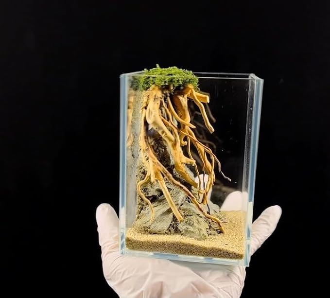 Aquarium Driftwood Centerpiece Aquarium Landscape, Handcrafted Fish Tank hardscape Landscape (style2)