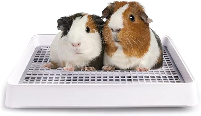 Oncpcare 15x12 Guinea Pig Litter Box with Grid, Small Animal Litter Tray for Cage, Bunny Restroom Pan Toilet Potty Training for Rabbit Ferret Chinchilla Rat