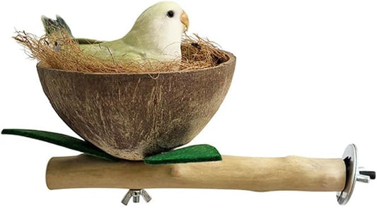 Small and Medium Sized Parrot Stand Made of Natural Coconut Shell and Bird Cage Accessory Budgerigar Sun Conure