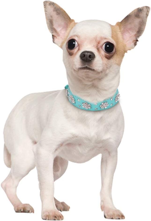 Rhinestone Dog Collar, Cute Flower Rhinestone Bling Collar PU Leather Adjustable Sizes Small Medium Large (S, Green)