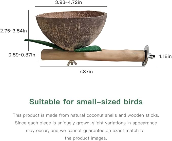 Small and Medium Sized Parrot Stand Made of Natural Coconut Shell and Bird Cage Accessory Budgerigar Sun Conure