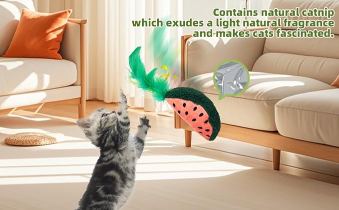 Interactive Cat Toys Bundle Kit: Crinkle Sound Toys + Catnip Kicker + Silvervine Dental Chew - Large & Mini Size Teaser Pack for Indoor Cats