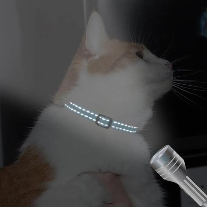 Teal Cat Collar with Bell, Reflective Nylon X-Small Puppy Collars Soft Adjustable Buckle for XXS XSmall Small Puppy Female Tiny Pets Dogs Boy Girl Kitten Yorkie Chihuahua XS