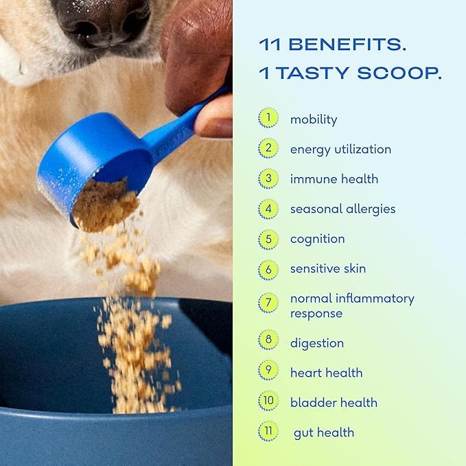 Native Pet The Daily Dog Supplement (90 Scoops) & Salmon Oil for Dogs & Cats (8 Oz.) - 11 in 1 Multivitamin & Pure Omega-3 Fish Oil Supplement for Skin & Coat, Joint, Heart Health & Anti-Inflammatory