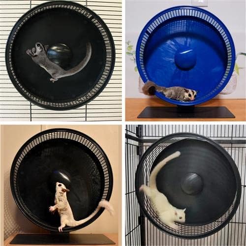 Silent Runner Pro | Sugar Glider Exercise Wheel (Blue with Stand)