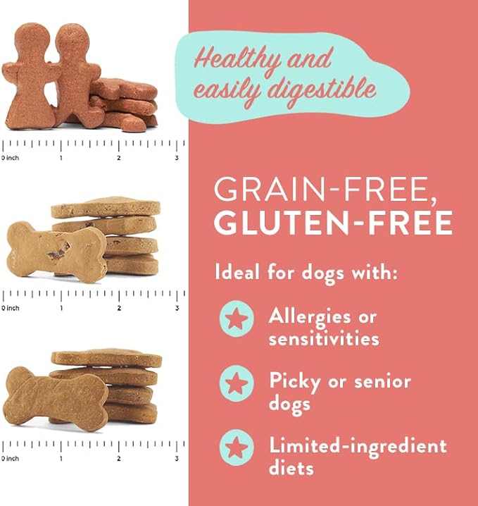 Portland Pet Food Company Pumpkin Dog Treats Healthy Biscuits for Small Medium & Large Dogs - Grain-Free, Human-Grade, All Natural Cookies, Snacks & Training Treats - Made in The USA - 3 Pack (5 oz)