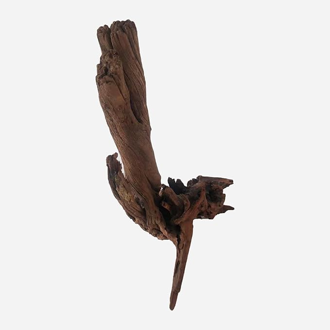 Natural Driftwood for Aquarium Decor, L12.2×W9.45×H19.69 Inches Large Drift Wood Decorations for Reptile Hide, Fish Tank, Optional Shapes