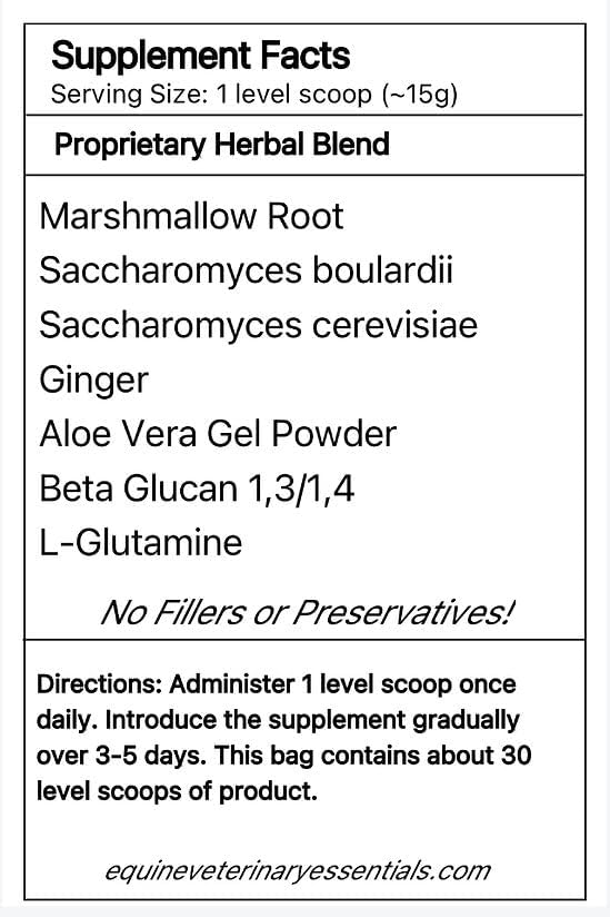 Equi-Gut+ Equine Gut Health Supplement – Probiotic & Prebiotic Digestive Support for Horses – Improves Nutrient Absorption & Reduces Digestive Discomfort – 1 lb Powder Formula