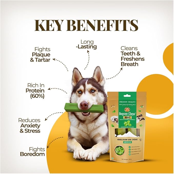 Dogsee Mint Flavor Himalayan Yak Chews for Dogs (Medium - 4 Bars) | Aid Digestion | Dog Chews for Teeth Cleaning | Odorless Dog Treats | Rawhide Free | Long Lasting