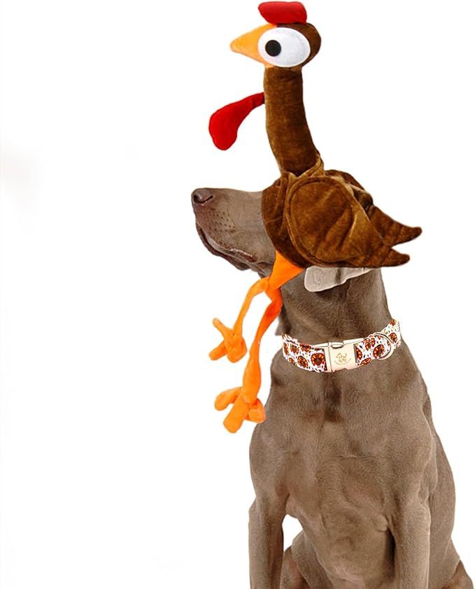 Elegant little tail Thanksgiving Dog Collar, Turkey Print Pet Collar Dog Durable Cute Dog Collars Winter Holiday Male or Female Pet Gift Adjustable Dog Collar for X-Small Puppy