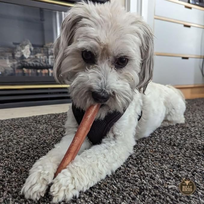 Bully Bunches Premium 6 Inch Thick Odor-Free Bully Sticks for Small & Medium Dogs - Long Lasting Chews for Oral Care- All Natural & Single Ingredient, 100% Beef Dog Treat, Rawhide Free (10 Pk)