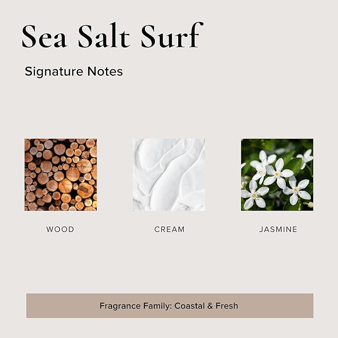 Sea Salt Surf Car Air Freshener, 4 Pack