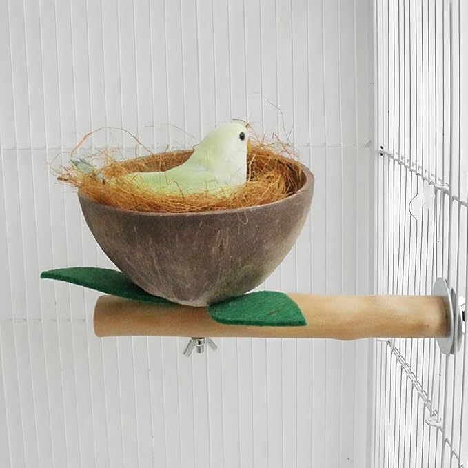 Small and Medium Sized Parrot Stand Made of Natural Coconut Shell and Bird Cage Accessory Budgerigar Sun Conure