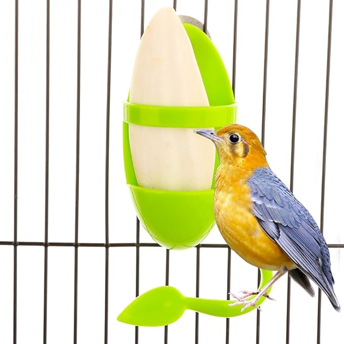 2 Pcs Cuttlebone Holder for Bird Cage - Bowl Stand Food Holder with 4 Pcs Cuttlebone for Parrot, Budgie, Conure (4.7-5.5 inch)