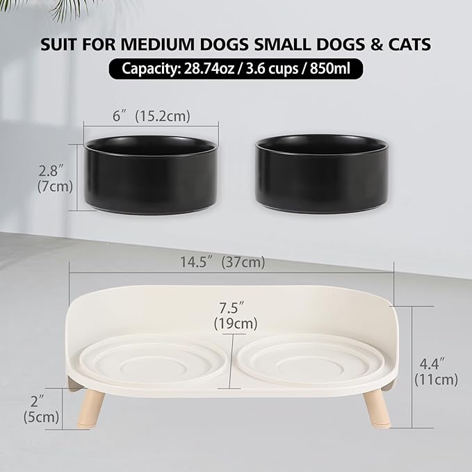 Elevated Ceramic Dog Bowl Set - Double Dog Feeding Bowls with Stand Splash Proof - Raised Dishes for Food and Water - Ideal for Small to Medium Dogs - 2 x 850 ml - 28.74 oz