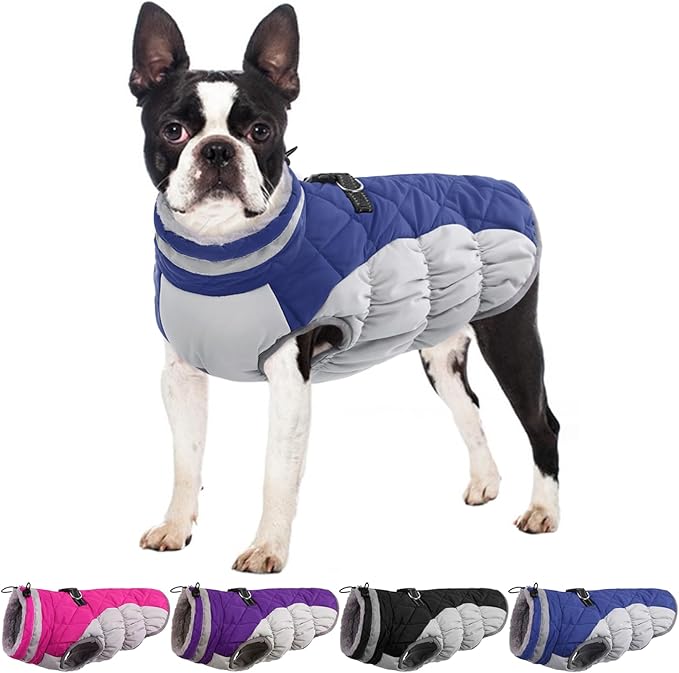 Winter Dog Coat,Large Dog Jacket,Waterproof Pet Jacket with Back Zipper,Pet Coat with Harness Built in,Warm Dogs Coat with Fleece Lined, Snow Jacket Clothes French Bulldog Shiba Inu,Blue,L