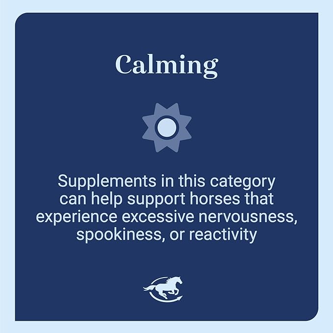 SmartEquine Smart & Simple Magnesium Horse Supplement | Supports Metabolism and Muscle Function | 515 Servings | 10 lb