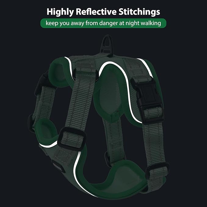 Rttochfy Cat Harness and Leash Set, Adjustable and Reflective Cat Vest, Escape Proof Kitten Harness, Easy to Put on with 3 Buckles for Cats Walking and Traveling (Light Green, S)