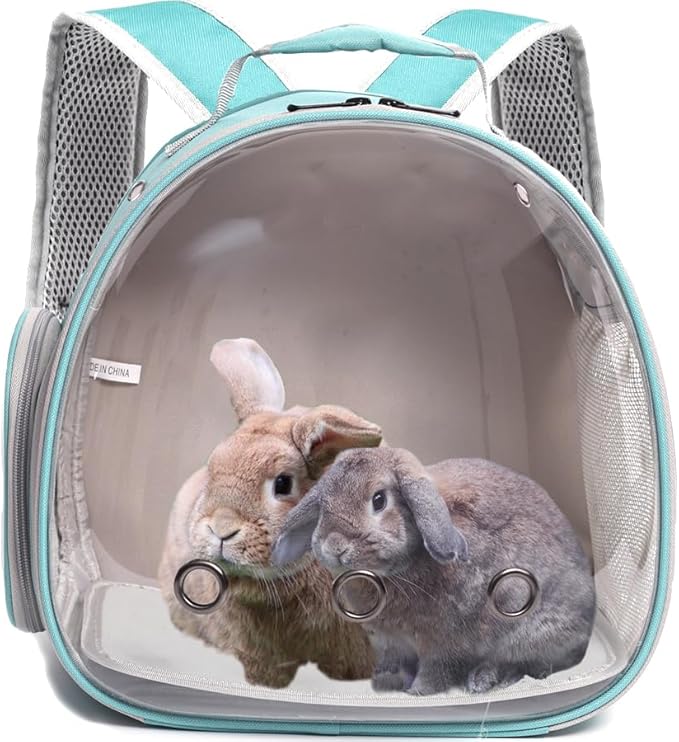 Guinea Pig Backpack Carrier, Bearded Dragon Carrier Backpack with Clear Bubble Window,Small Animal Travel Backpack for Hedgehog Rat,Chameleon,Rabbit,Sugar Glider,Airline Approved (Green, Backpack)