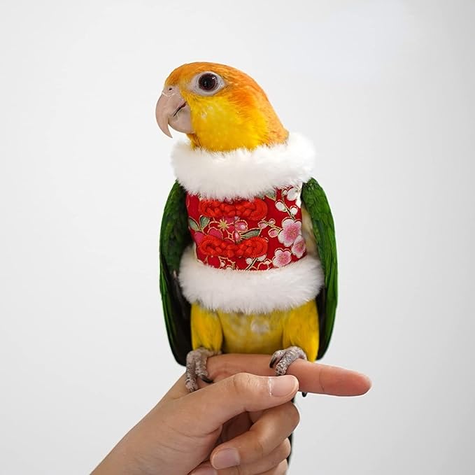 Bird Costume Bird Flight Suit Bird Clothes Cosplay Photo Prop for Parrots Parakeet Cockatiel Sun Conure, Bird Hoodie Small Animals Apparel (Black, Large)