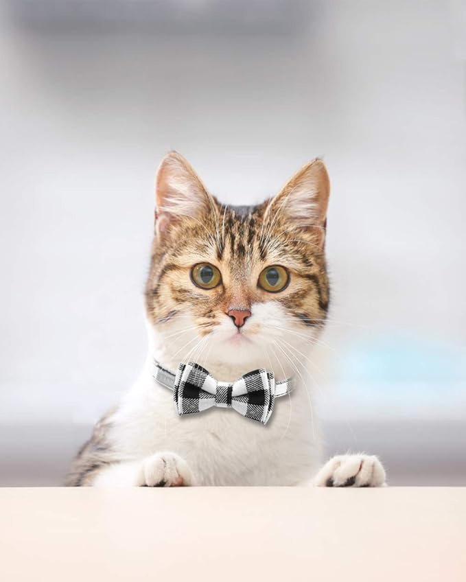 Joytale Upgraded Cat Collar with Bells, Breakaway Cat Collars with Bow Tie, 1 Pack Girl Boy Safety Plaid Kitten Collars, Black