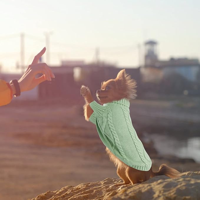 Queenmore Small Dog Pullover Sweater, Cold Weather Cable Knitwear, Classic Turtleneck Thick Warm Clothes for Chihuahua, Bulldog, Dachshund, Pug, Yorkie (Green, Medium)