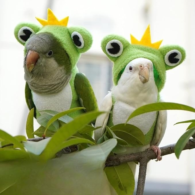 Bird Costume Diaper Flight Suit Frog Shape Hoodie Clothes Cosplay Photo Prop for Parrots Parakeet Cockatiel Sun Conure, Small Animals Apparel (Green Without Diaper, Large), (BPF1)