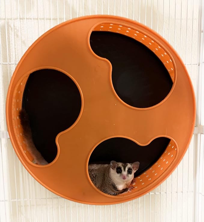 Silent Runner 12" with Autoclean | Sugar Glider Wheel