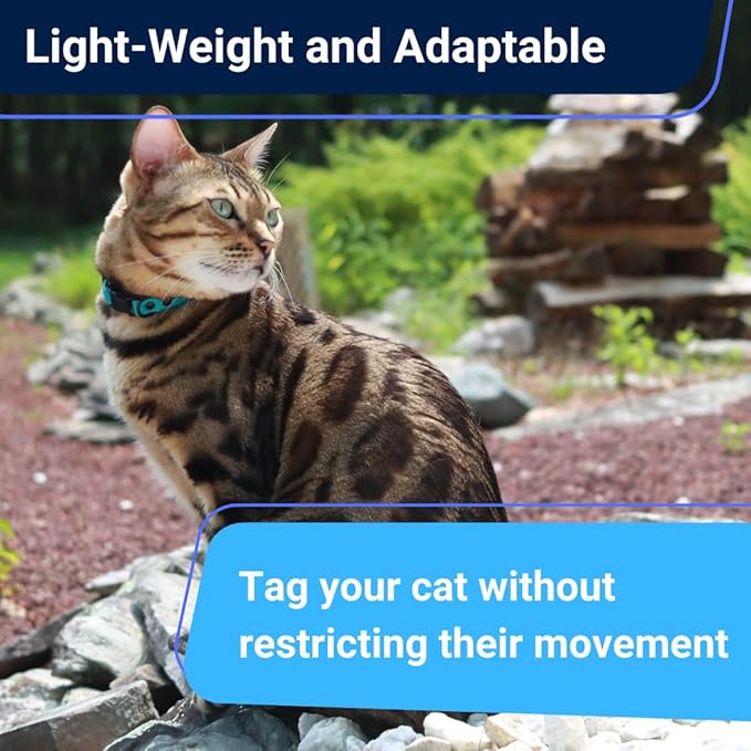 OutdoorBengal Durable Cat Collar Breakaway with Soft Padding for Medium to Large Cats - Thin Heavy Duty Tactical Fabric, Comfortable, Quick Release Breakaway Cat Collars, No Bell Collar (Blue, Adult)