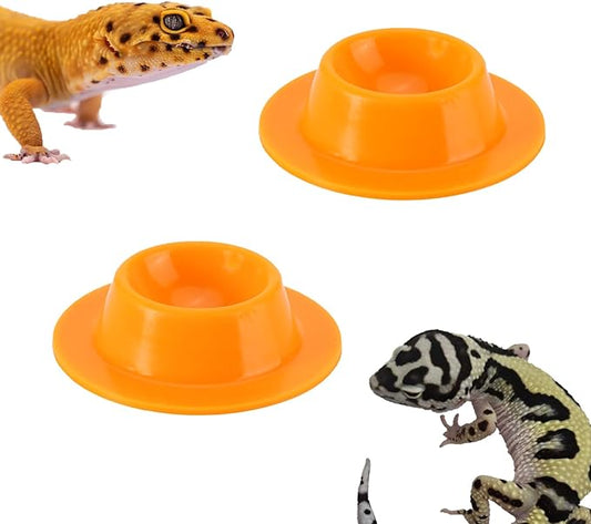 2 Pack Leopard Gecko Food Dish Gecko Calcium Dish Reptile Water Food Bowl Calcium Bowl for Bearded Dragon Lizard Turtle Gecko Jumping Spider