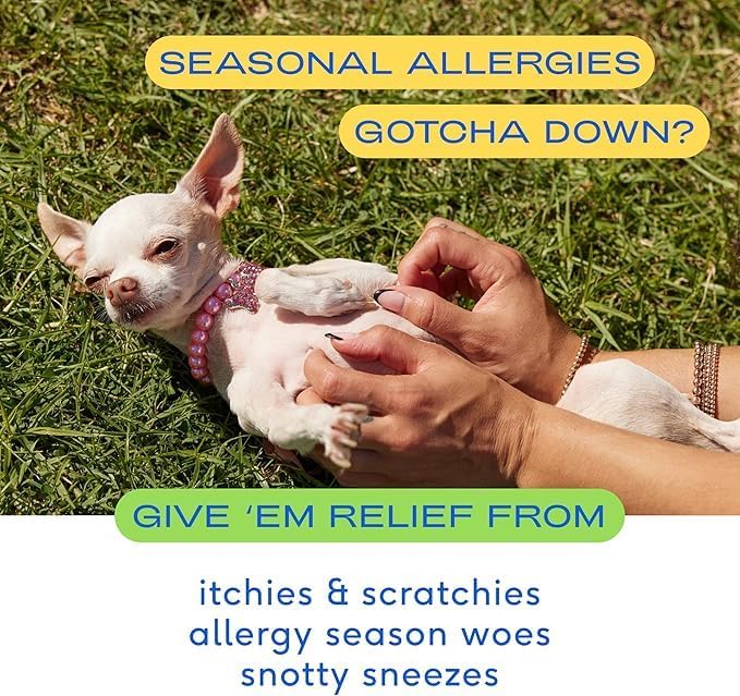 Native Pet Dog Allergy Chews - Dog Allergy Relief with Probiotics and Colostrum for Itchy Skin Relief to Support Seasonal Allergy and Healthy Immune System - All Natural Anti-Histamine - 120 Chews