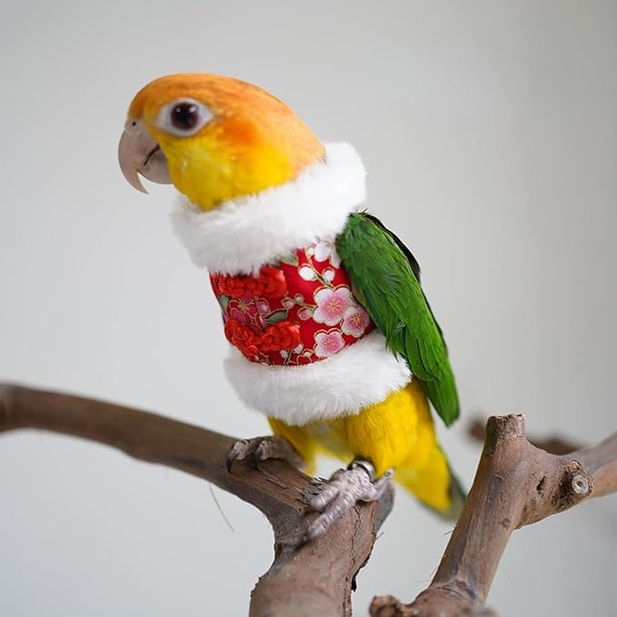 Bird Costume Bird Flight Suit Bird Clothes Cosplay Photo Prop for Parrots Parakeet Cockatiel Sun Conure, Bird Hoodie Small Animals Apparel (Black, Large)