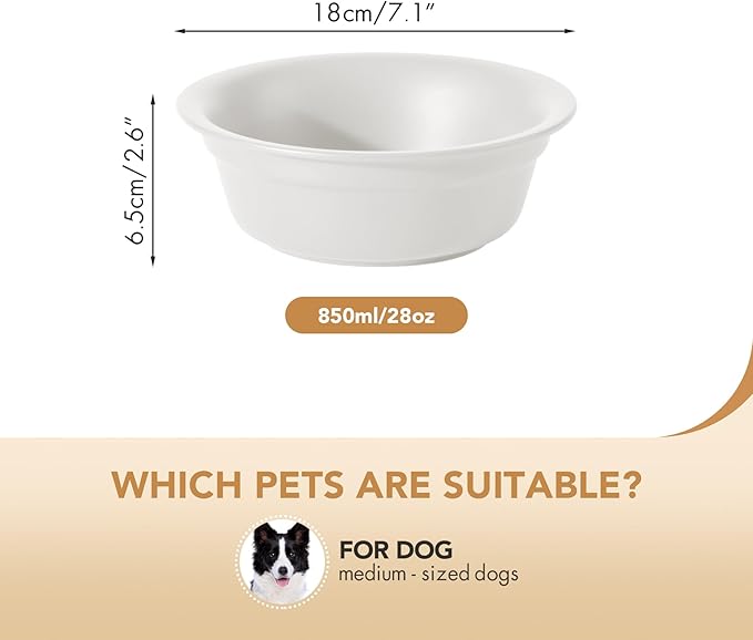 Ceramic 7.1inch Set of 2 Dog Bowls for Medium and Large Dogs, 2pcs Basic Food and Water Dishes for Replacement, Wide Opening Rounded Edge(2 Bowls, Matt White)